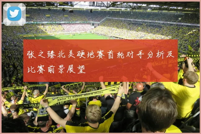 张之臻北美硬地赛首轮对手分析及比赛前景展望